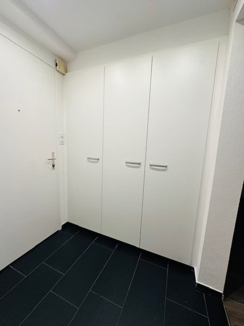 Appartement charmant et convivial de 2,5 pièces au cœur de Bâle à proximité du Rhin (13)