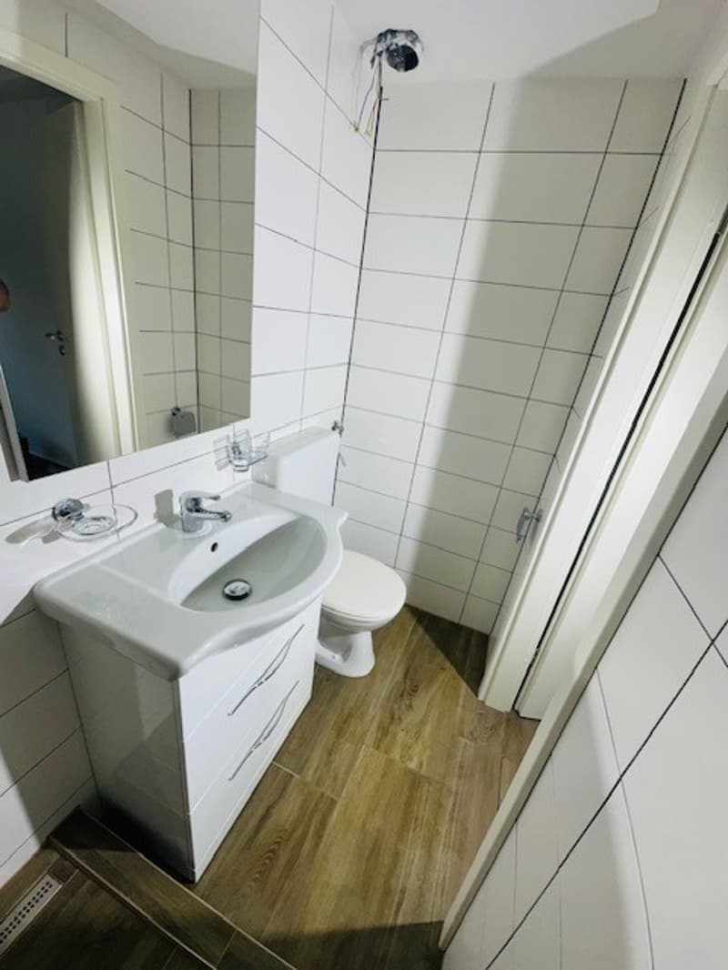 Accogliente appartamento ristrutturato di una stanza a Münchenstein (9)