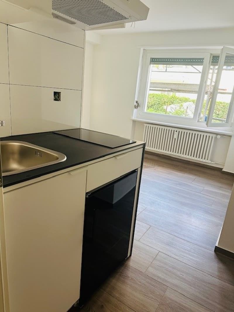Accogliente appartamento ristrutturato di una stanza a Münchenstein (6)