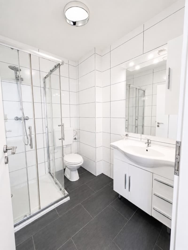 Bright 1.5-room apartment in top location in Basel (4058) (7)