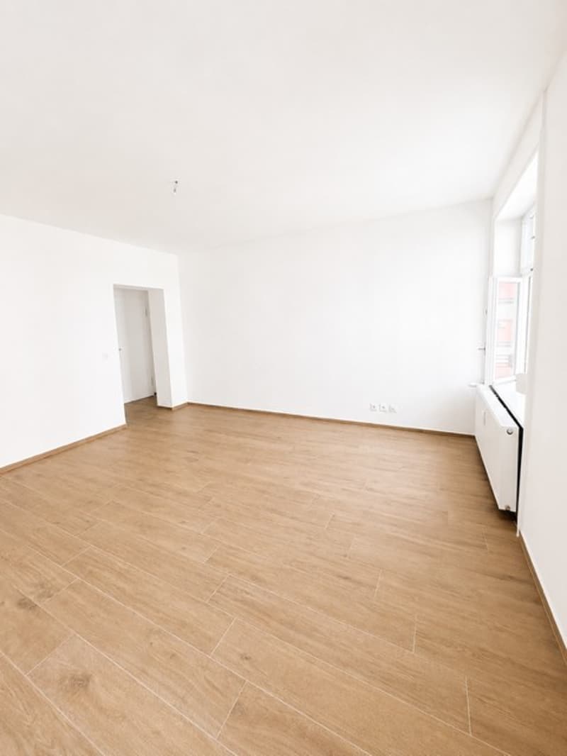 Bright 1.5-room apartment in top location in Basel (4058) (2)