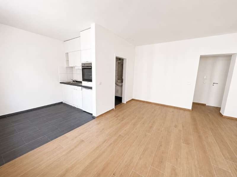 Bright 1.5-room apartment in top location in Basel (4058) (3)