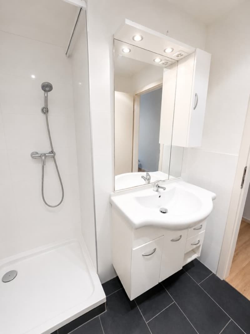 Helle 2-Zimmer-Wohnung mit Balkon im 4. OG in Basel (8)