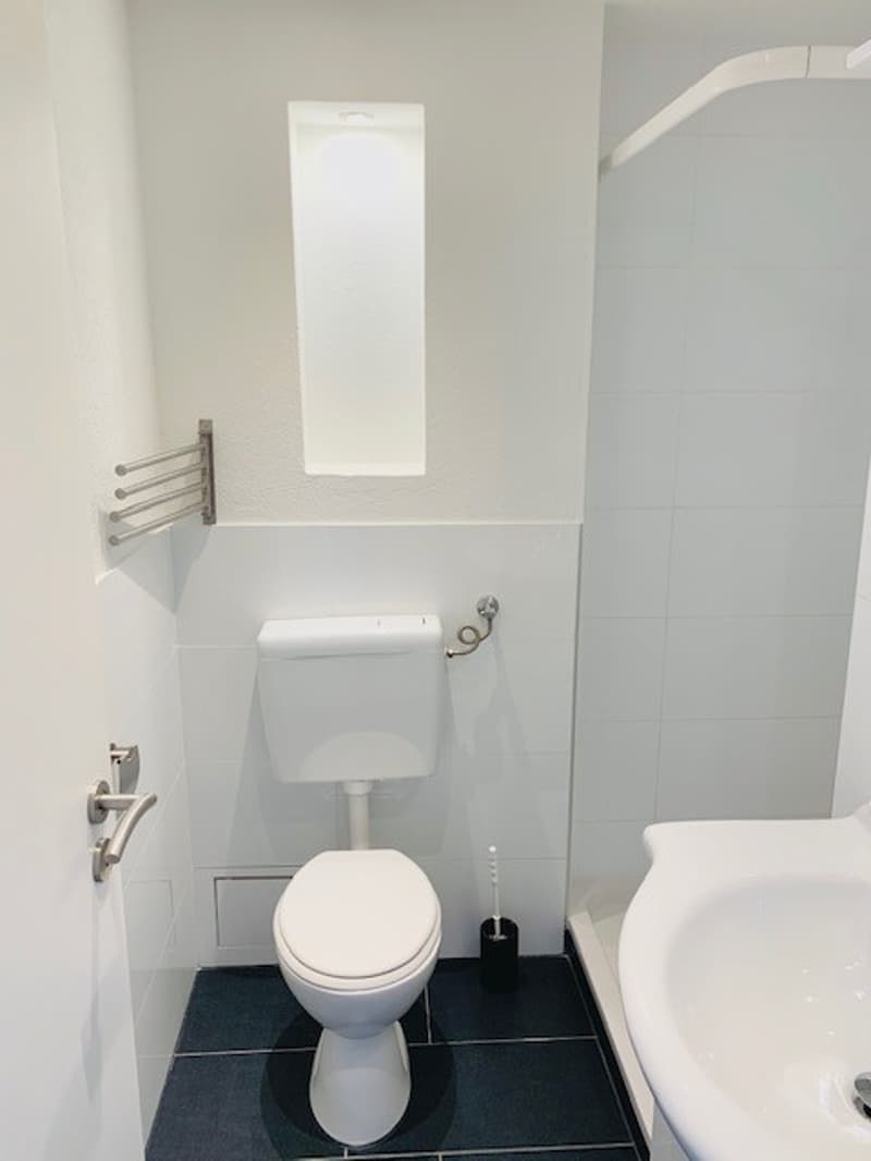 Helle 2-Zimmer-Wohnung mit Balkon im 4. OG in Basel (10)