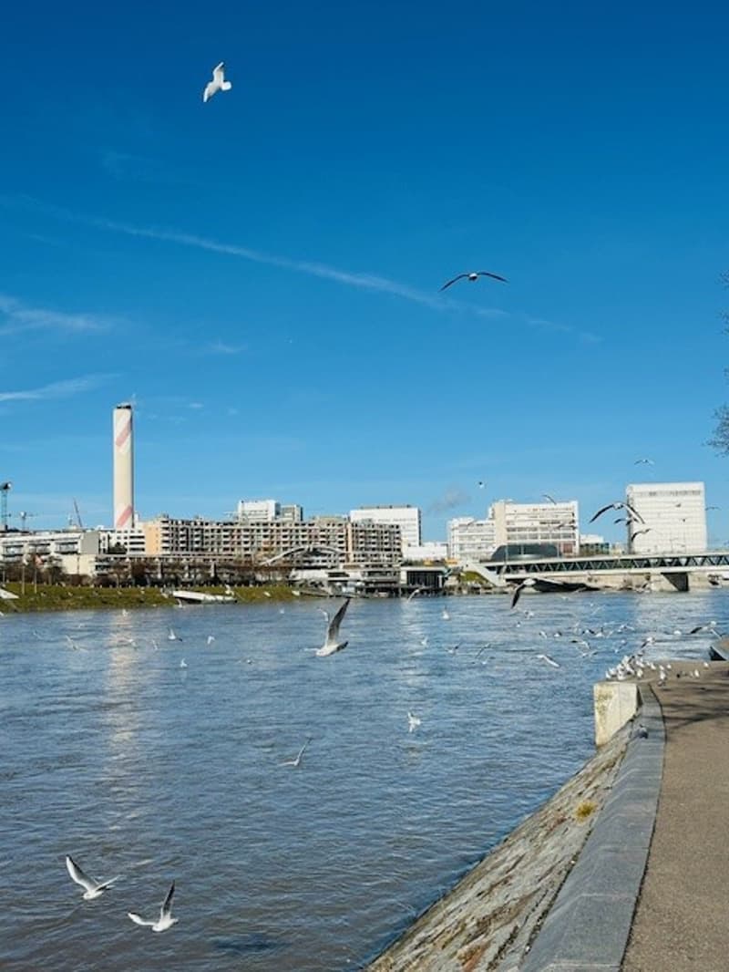 Gemütliche, charmante 2.5-Zimmer-Wohnung im Herzen von Basel Nähe Rhein (20)