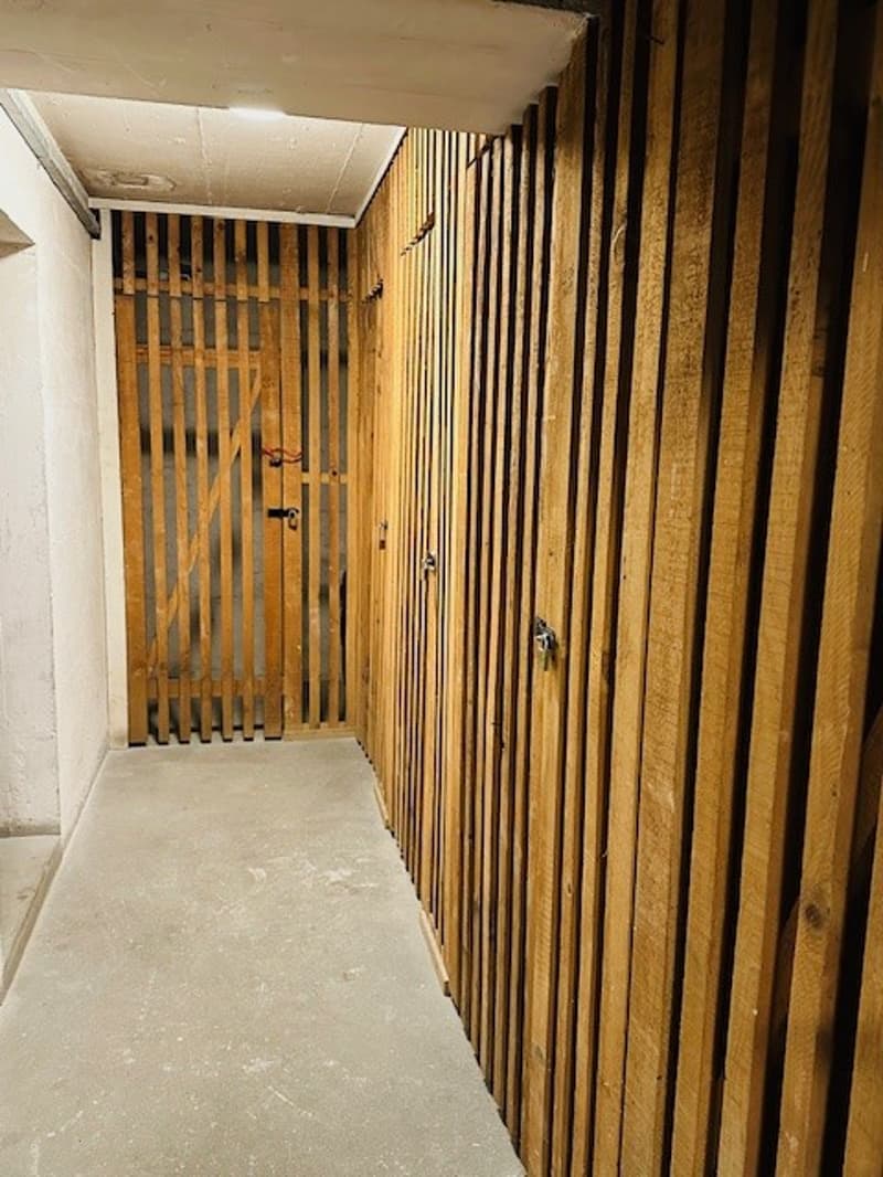 Gemütliche, charmante 2.5-Zimmer-Wohnung im Herzen von Basel Nähe Rhein (23)