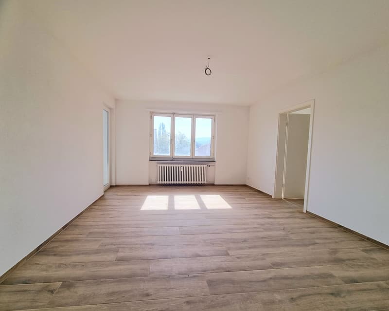 Empty room, white walls, wooden floor, large window, white radiator
