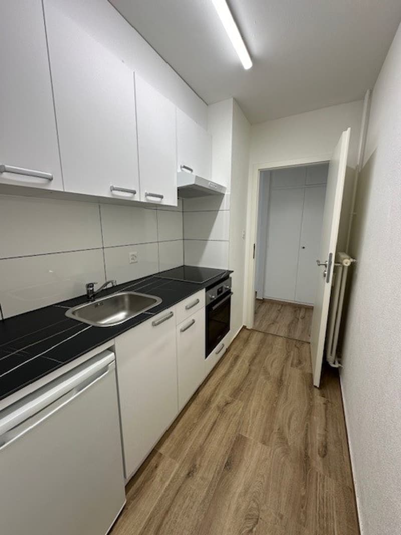 Attraktive, renovierte helle 1-Zimmerwohnung (4)