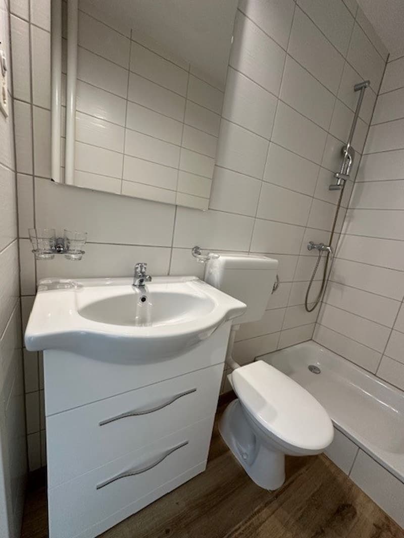 Attraktive, renovierte helle 1-Zimmerwohnung (10)