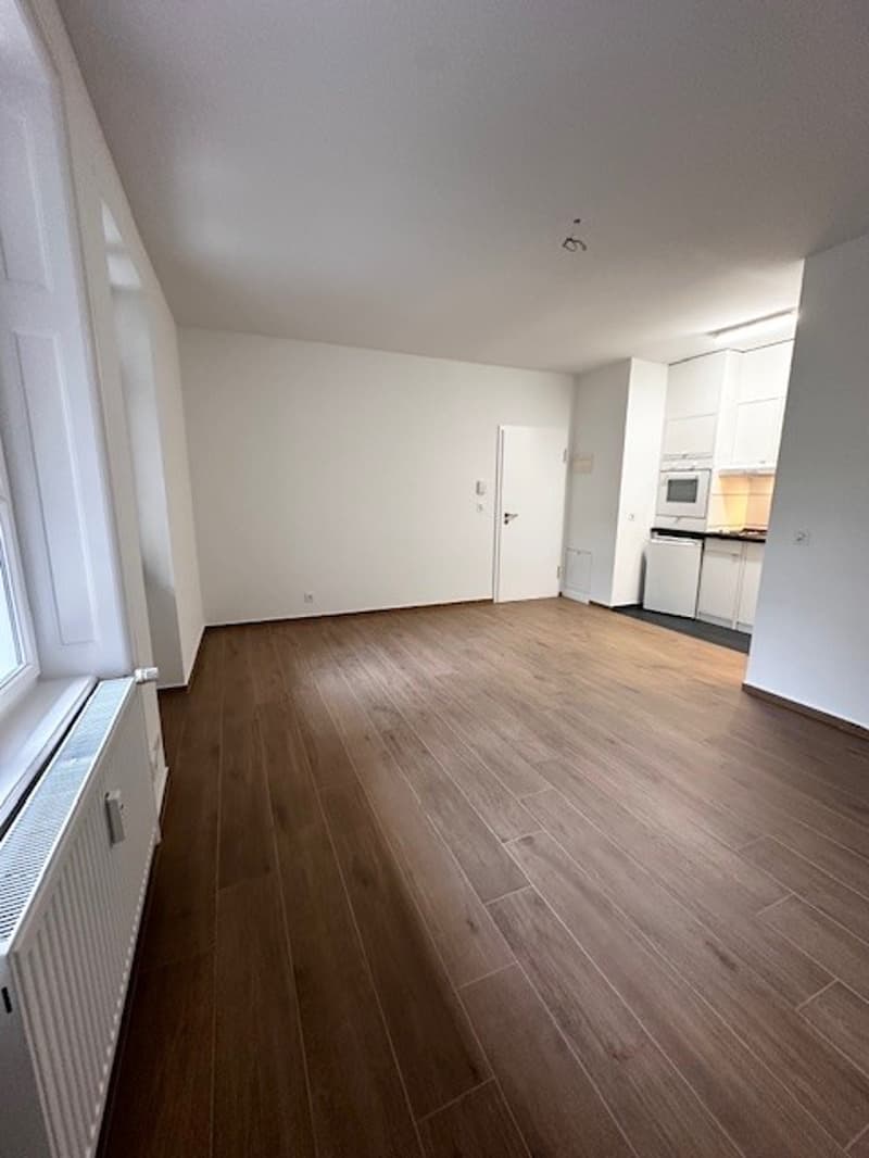 Charmante 1.5-Zimmer-Wohnung mit Balkon in Basel (1)