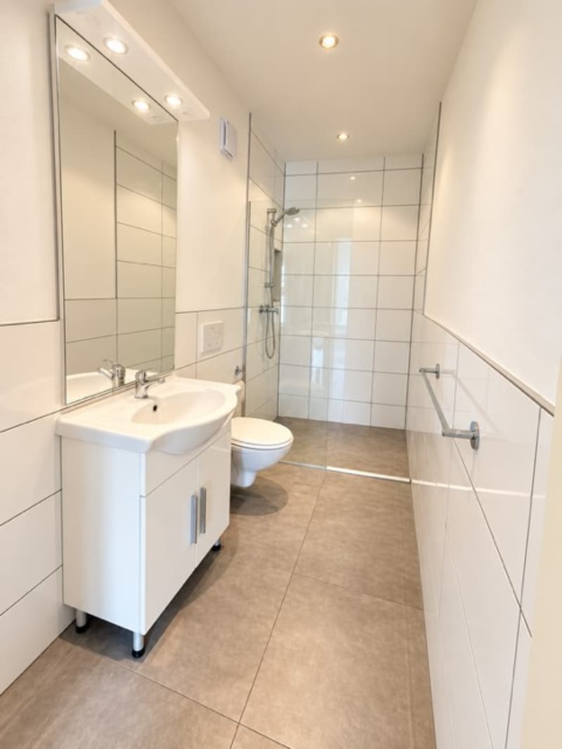 Moderne 1-Zimmer-Wohnung mit Balkon in Basel (4)