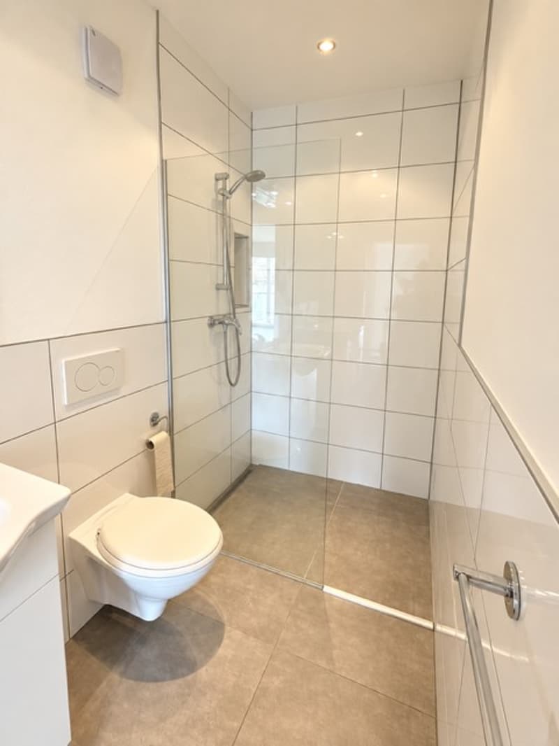 Moderne 1-Zimmer-Wohnung mit Balkon in Basel (6)