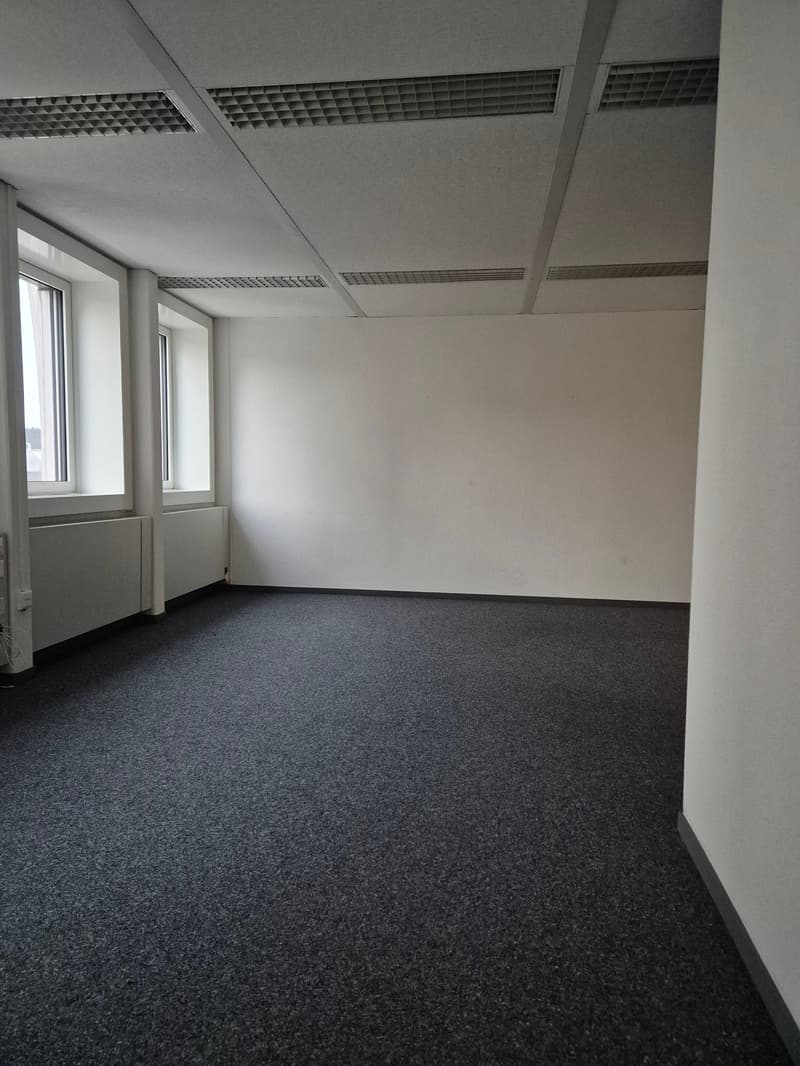 Empty room with white walls, ceiling, and carpet floor, two windows, and white radiator
