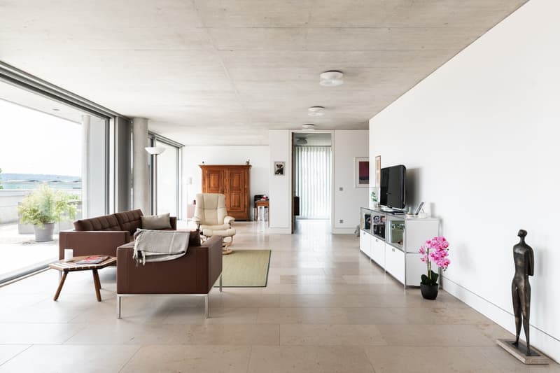 modern design, large windows, hardwood floors, large sofa, armchair, side table, entertainment center, television, potted flower, statue