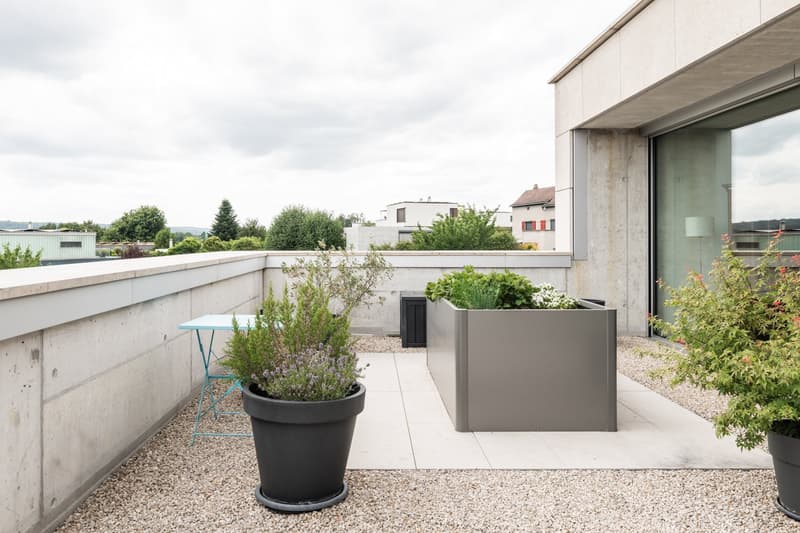 Gravel patio with a white concrete barrier, outdoor plants in black and gray pots, a blue folding table, a glass wall, and a large concrete planter.