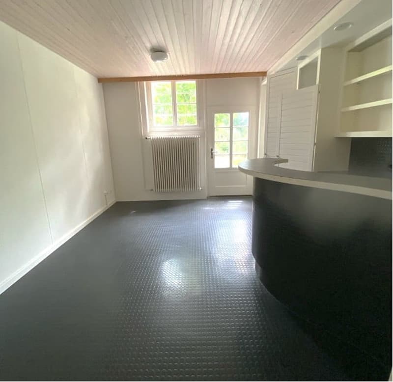 empty room, white walls, black floor, white ceiling, white door, window, radiator