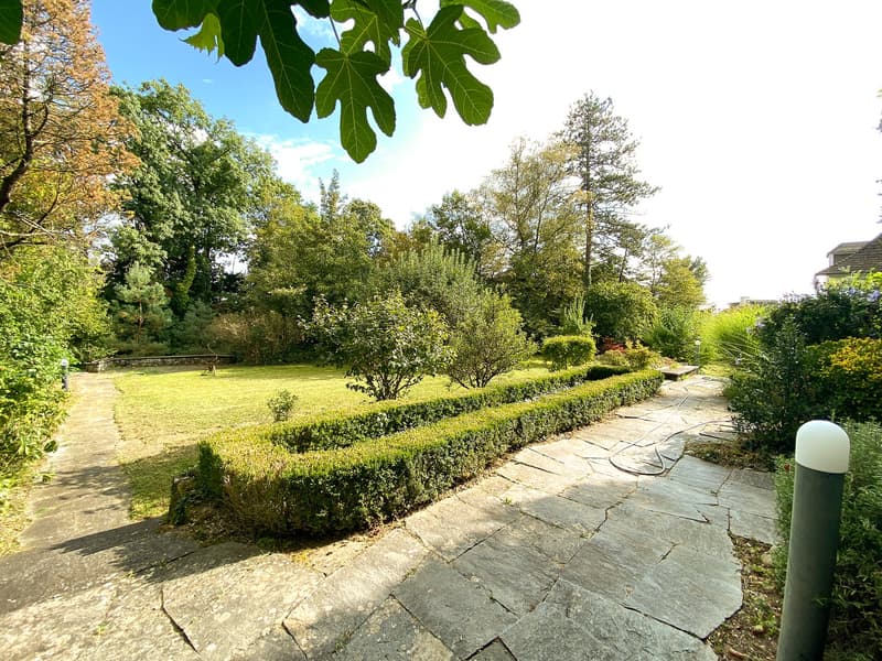Stone pathway, manicured hedges, grassy lawn, trees, shrubs, and plants