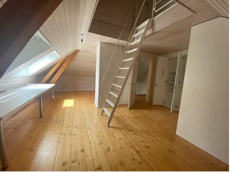 wooden floor, white walls, white ladder, white table, open doors, skylights