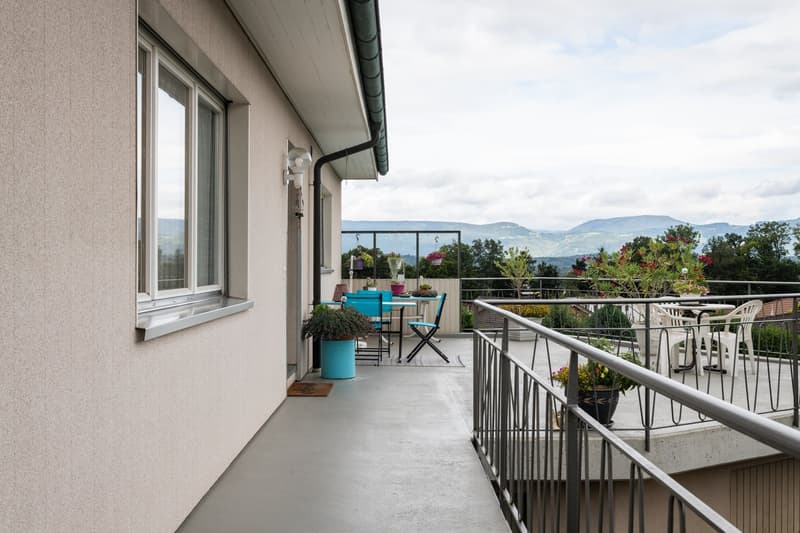 Hauszugang/Terrasse