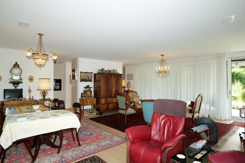 Spacious living in a beautiful location in Binningen (7)