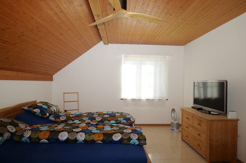 Living in a beautiful scenic location in Himmelried (12)