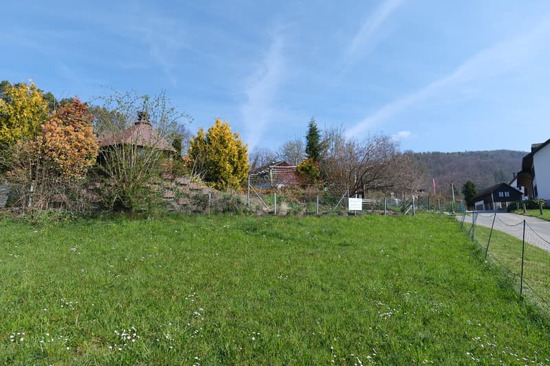Living in a beautiful scenic location in Himmelried (4)