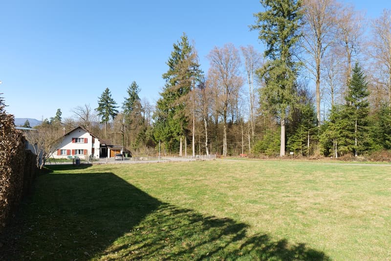 large grassy area, house in the background, trees surrounding the area