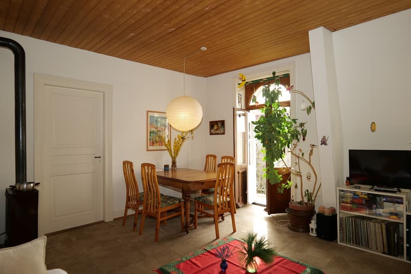 Living in a charming Art Nouveau house in Basel (6)