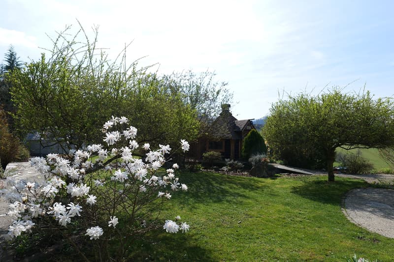 Habiter dans un bel endroit avec vue à Himmelried (2)