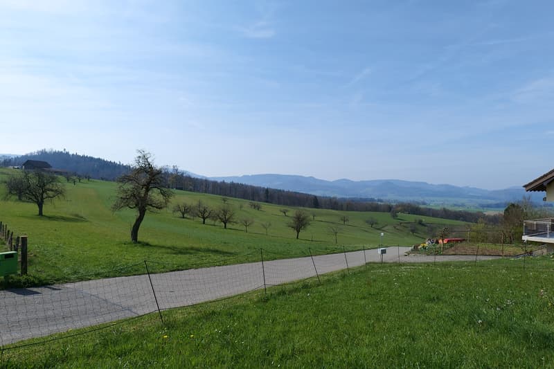 Habiter dans un bel endroit avec vue à Himmelried (5)