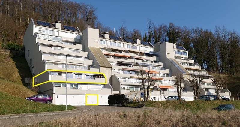 Attraktive 4.5- Zimmer- Terrassenwohnung in Zwingen (1)