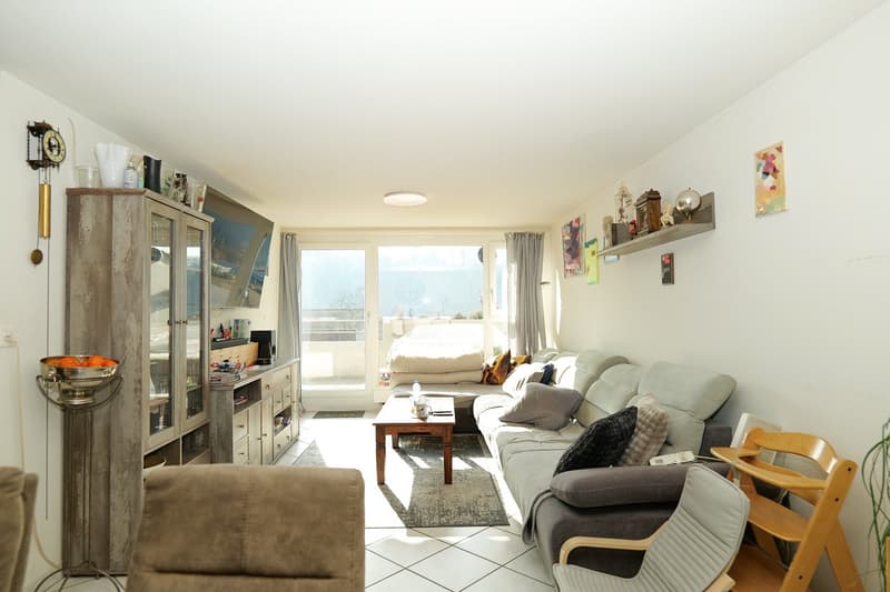 Attraktive 4.5- Zimmer- Terrassenwohnung in Zwingen (2)