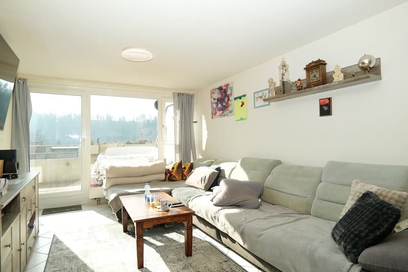 Attraktive 4.5- Zimmer- Terrassenwohnung in Zwingen (3)