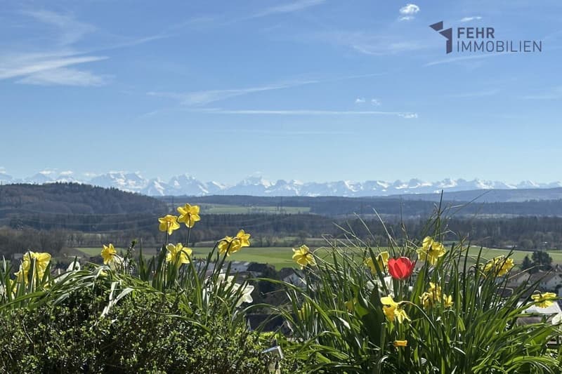 Fehr Immobilier - Appartement terrasse 4,5 pièces avec vue magnifique (2)