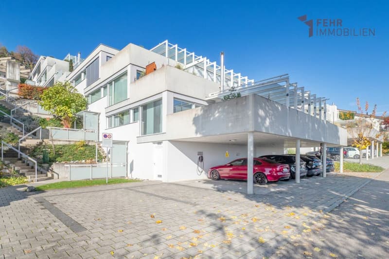 Fehr Real Estate - Comfortable 5.5-room terrace apartment with Alpine views (11)