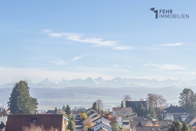Fehr Real Estate - Comfortable 5.5-room terrace apartment with Alpine views (1)