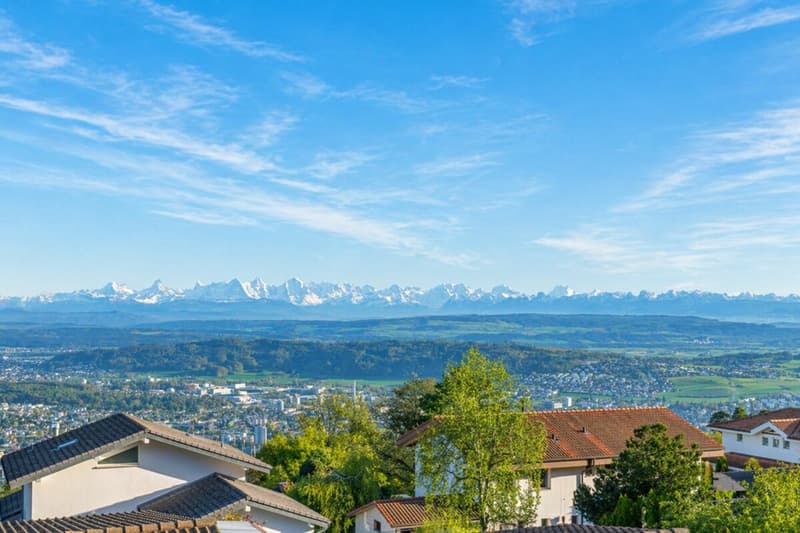 Fehr Real Estate - Bright 4.5-room attic apartment with Alpine view (3)