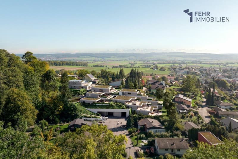 Fehr Real Estate - Exclusive 4½ - 5½-room terraced villas to design (8)