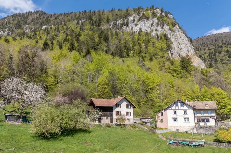 Fehr Real Estate - Charming 6-room single-family house (2)