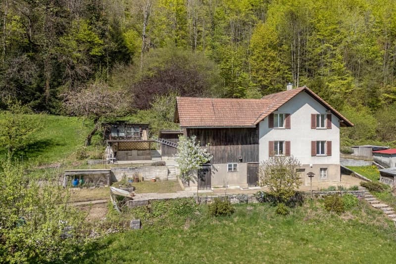 Fehr Real Estate - Charming 6-room single-family house (1)