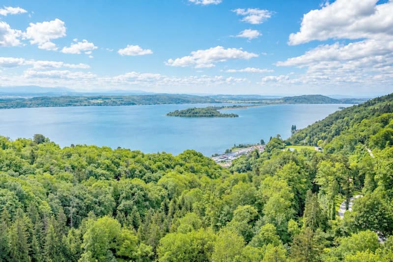 Fehr Immobilien - Exklusive 5½-Zimmer-Premium Terrassenwohnung (1)