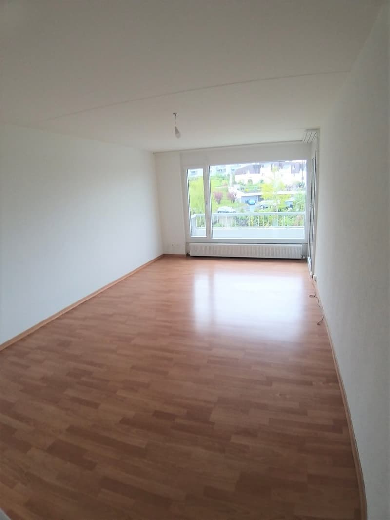 2.5-Zimmer-Wohnung Tiefenhofstrasse 23 (2)