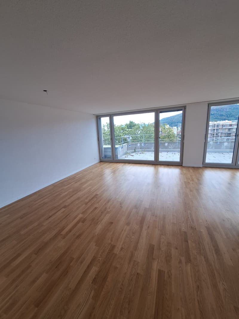 neu renovierte 3.5-Zimmer-Attika-Wohnung (3)