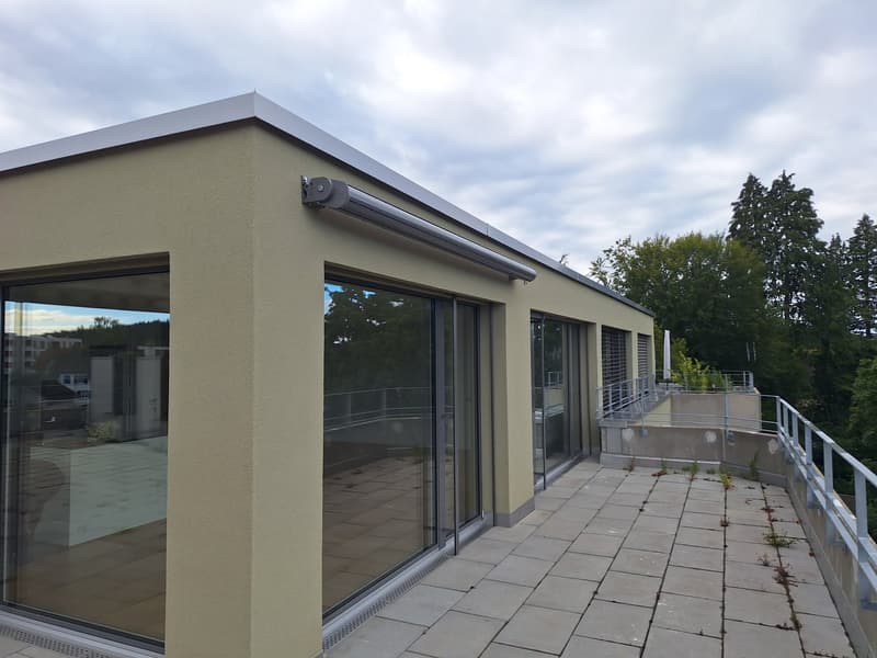 neu renovierte 3.5-Zimmer-Attika-Wohnung (8)