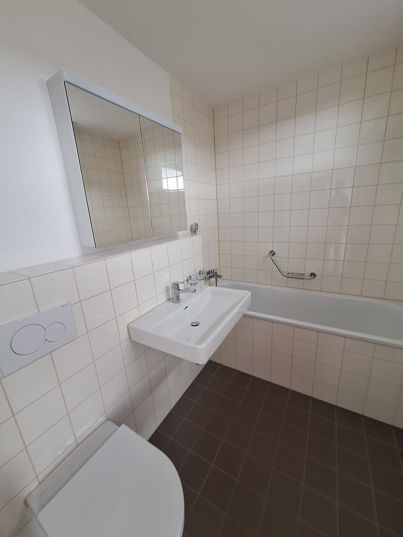 neu renovierte 3.5-Zimmer-Attika-Wohnung (6)