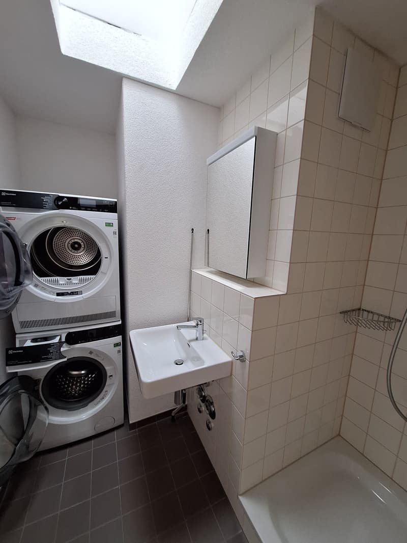 neu renovierte 3.5-Zimmer-Attika-Wohnung (7)