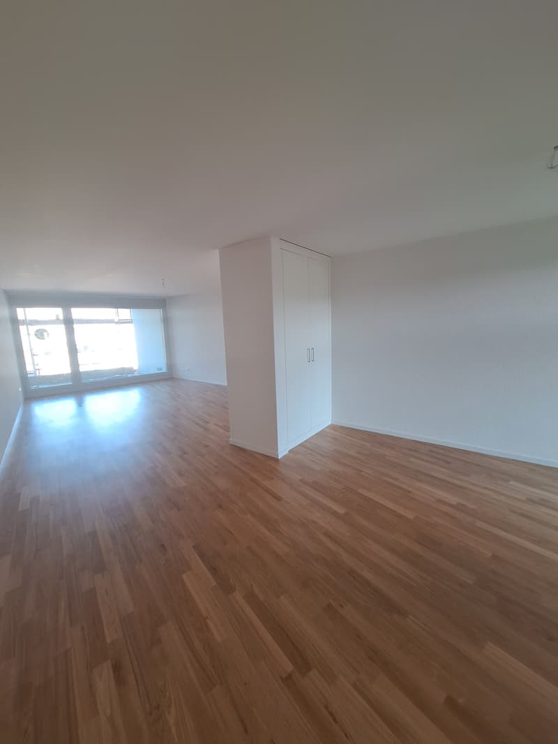 empty room, wooden floor, white walls, large windows, white wardrobe