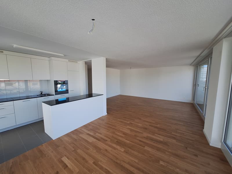 neu renovierte 3.5-Zimmer-Attika-Wohnung (2)