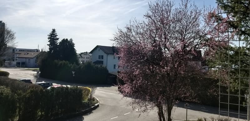 3.5-Zimmer-Wohnung Drosselweg 2 Subingen (8)