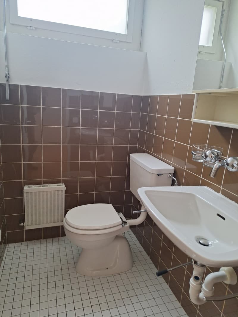 3.5-Zimmer-Wohnung Tiefenhofstrasse 15 (4)